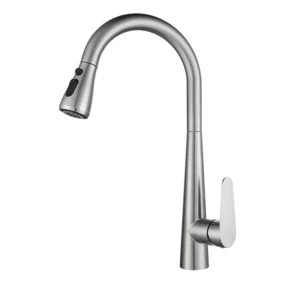 Stainless Steel Kitchen Faucet 1302723