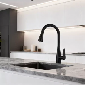 Kitchen Faucet