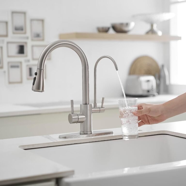 Faucet With Water Filtration